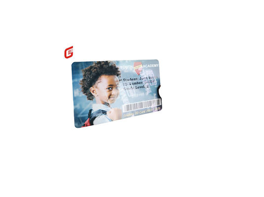 Zebra ZC300/ZC100 Cinta de plata perlada 800300-562 para protección contra la falsificación